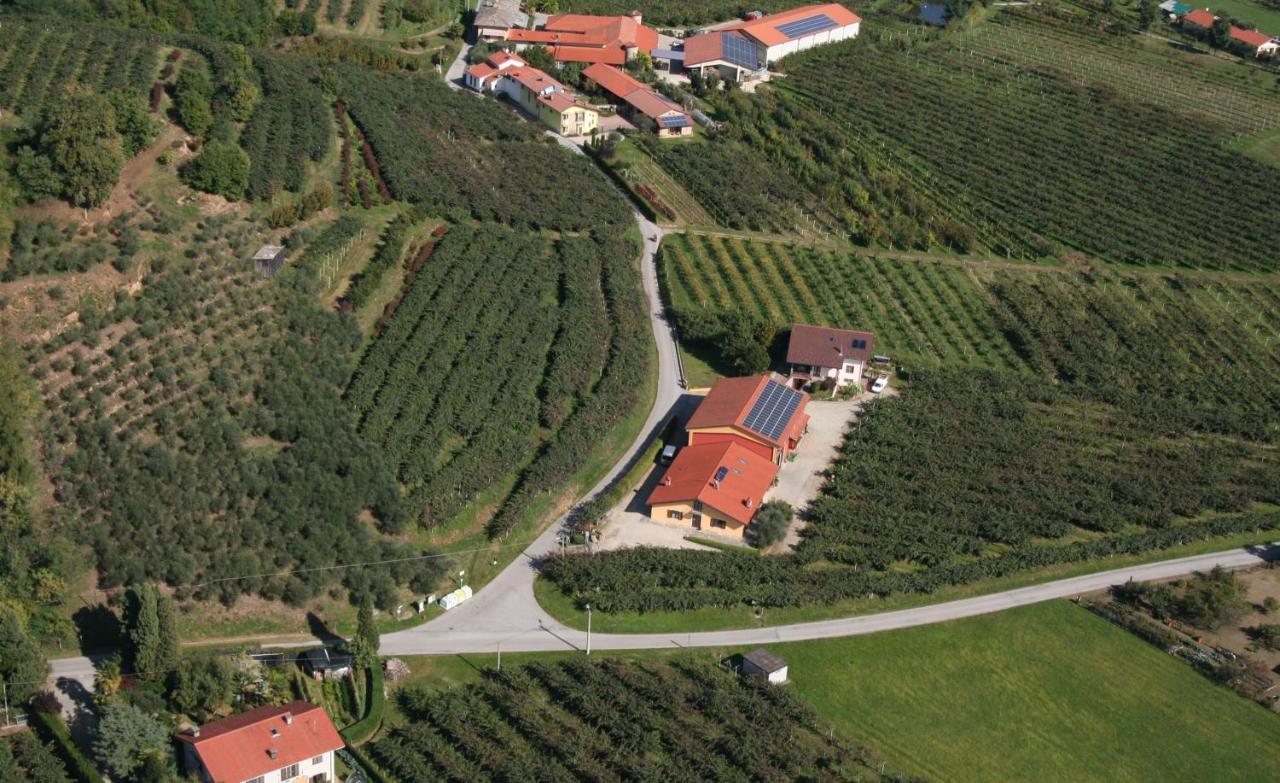 Agrialpi By Salfrutta Bed & Breakfast Bricherasio Dış mekan fotoğraf