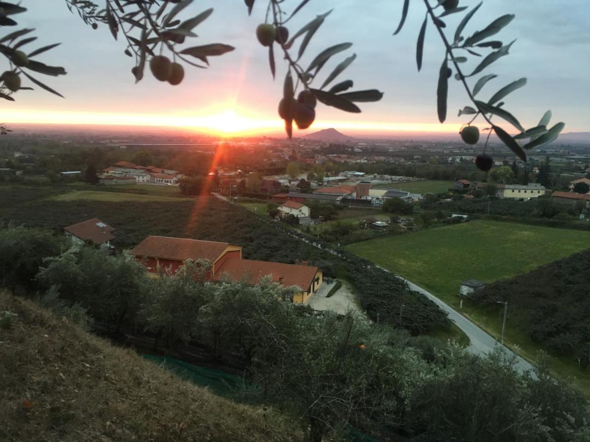 Agrialpi By Salfrutta Bed & Breakfast Bricherasio Dış mekan fotoğraf