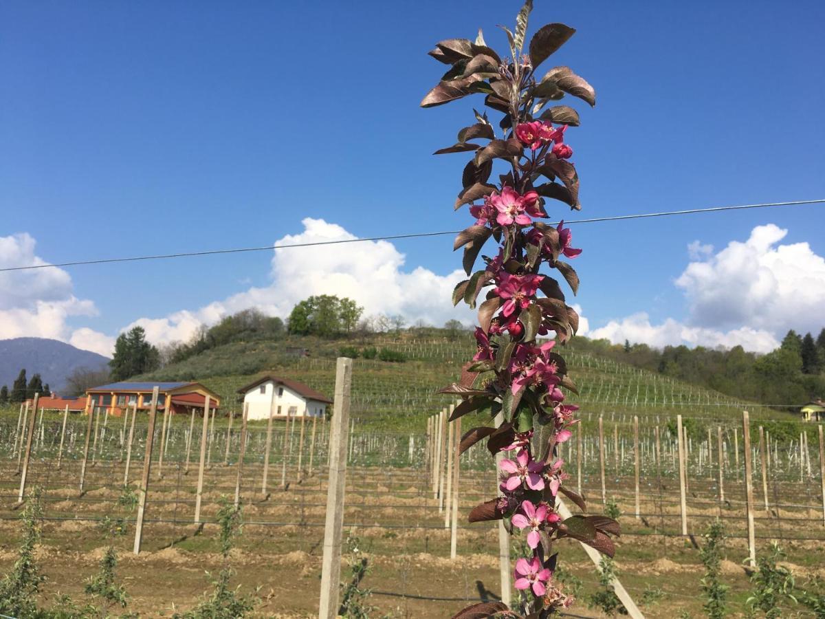 Agrialpi By Salfrutta Bed & Breakfast Bricherasio Dış mekan fotoğraf