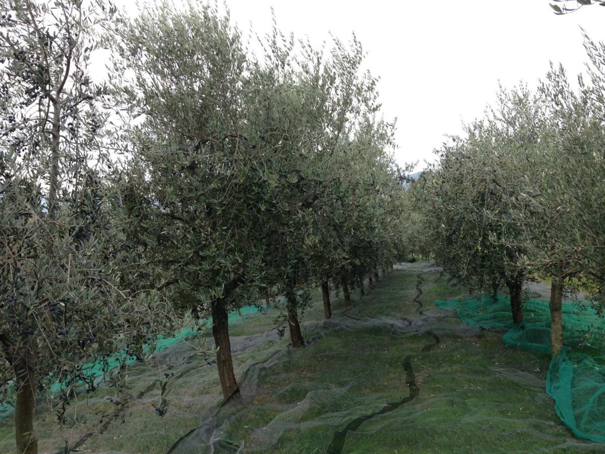 Agrialpi By Salfrutta Bed & Breakfast Bricherasio Dış mekan fotoğraf