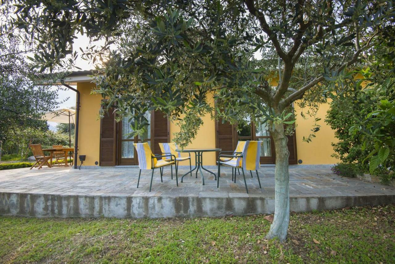 Agrialpi By Salfrutta Bed & Breakfast Bricherasio Dış mekan fotoğraf