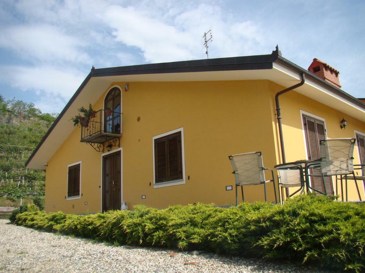 Agrialpi By Salfrutta Bed & Breakfast Bricherasio Dış mekan fotoğraf
