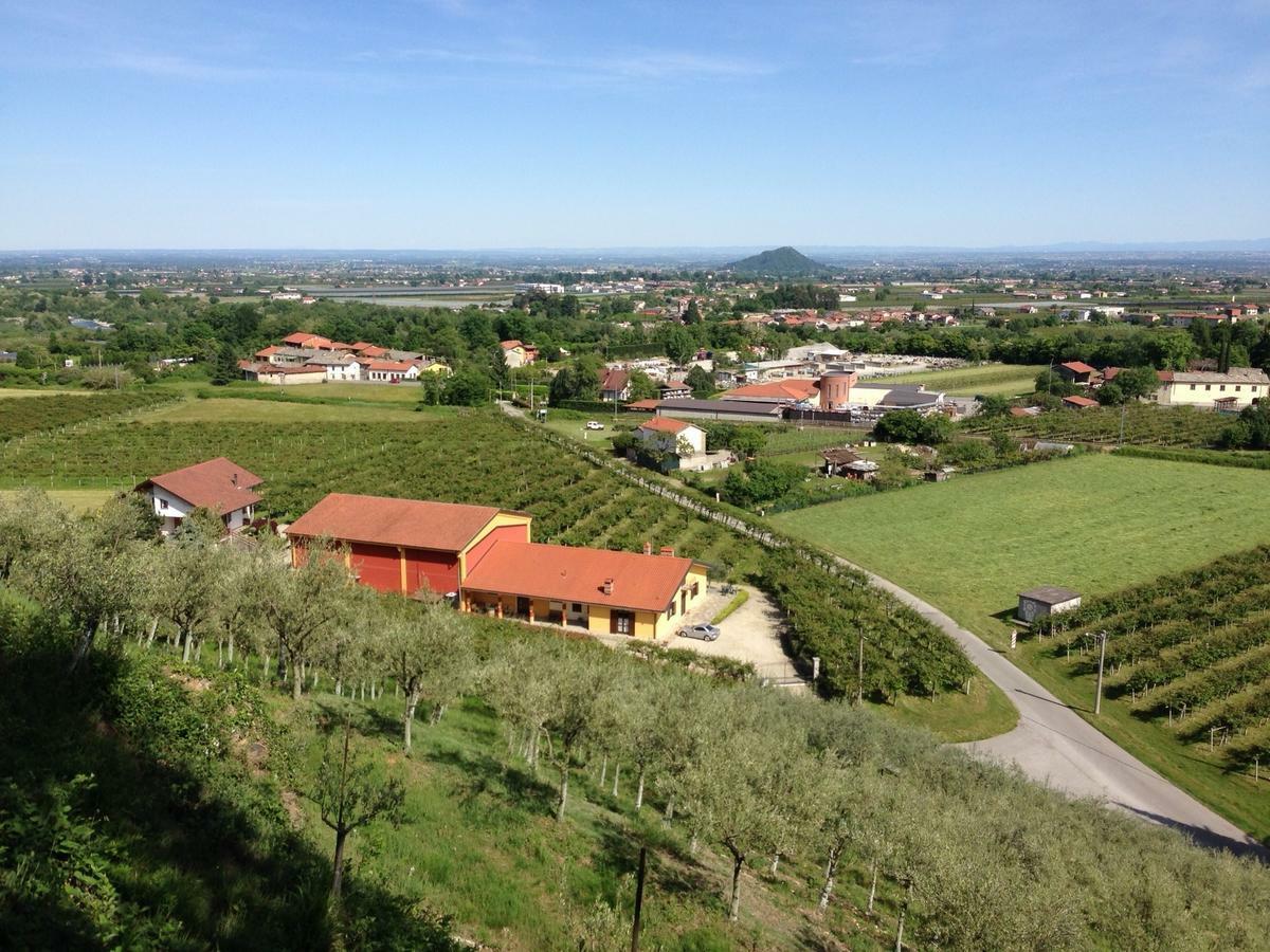 Agrialpi By Salfrutta Bed & Breakfast Bricherasio Dış mekan fotoğraf